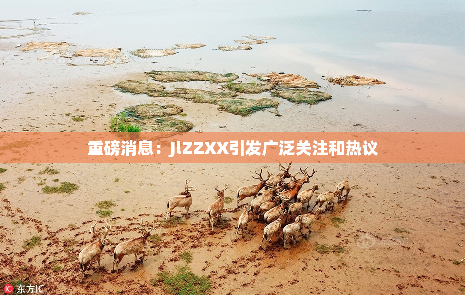 重磅消息：JlZZXX引发广泛关注和热议