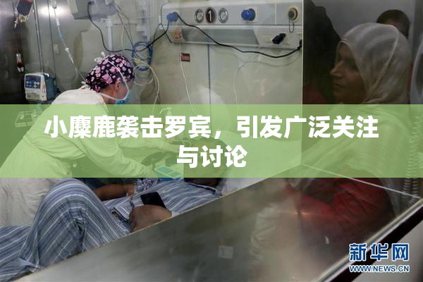 小麋鹿袭击罗宾，引发广泛关注与讨论