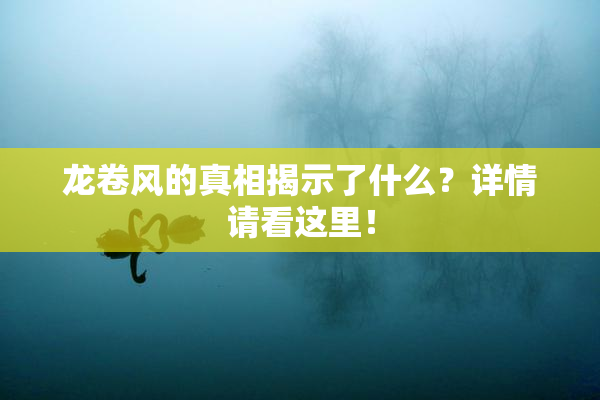 龙卷风的真相揭示了什么？详情请看这里！