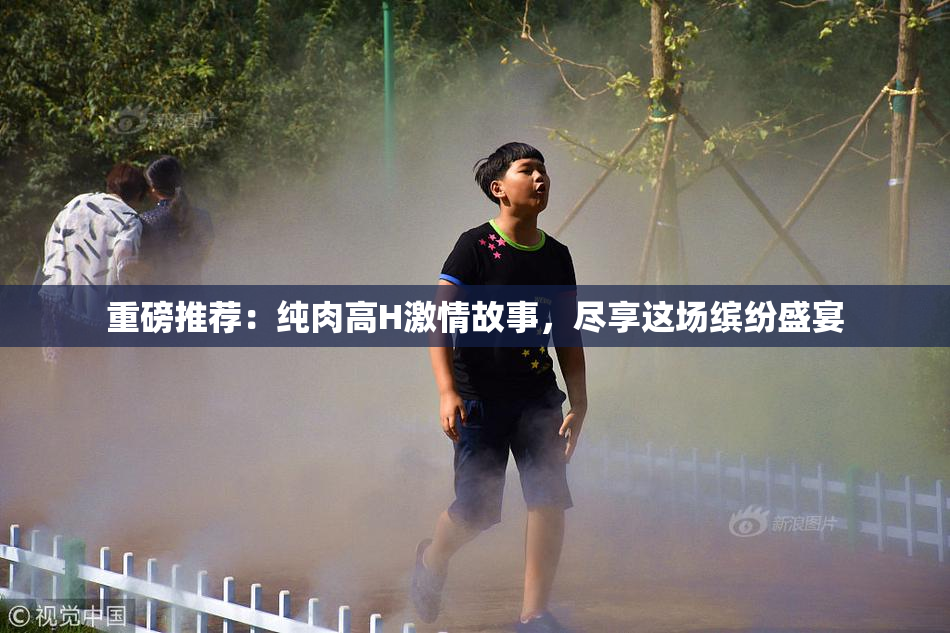 重磅推荐：纯肉高H激情故事，尽享这场缤纷盛宴