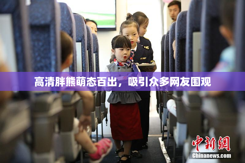 高清胖熊萌态百出，吸引众多网友围观