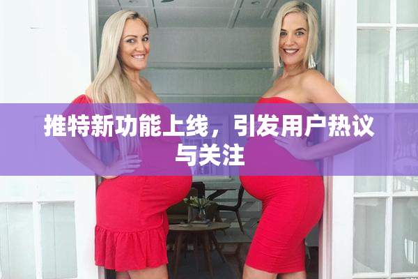 推特新功能上线，引发用户热议与关注