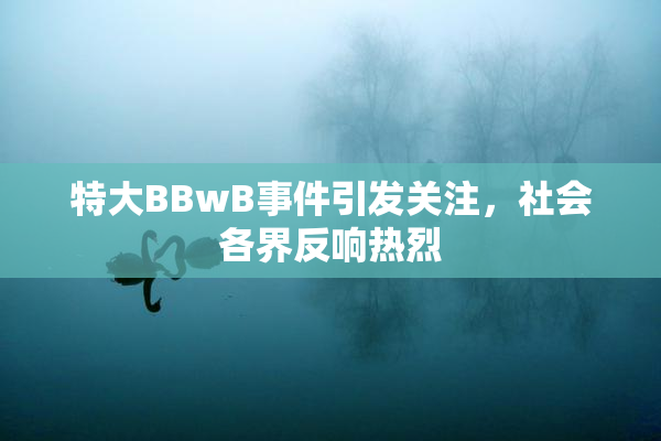 特大BBwB事件引发关注，社会各界反响热烈