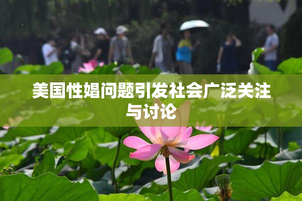 美国性娼问题引发社会广泛关注与讨论