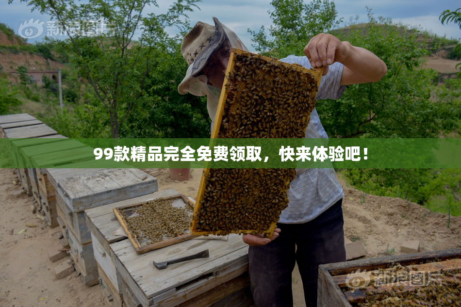 99款精品完全免费领取，快来体验吧！