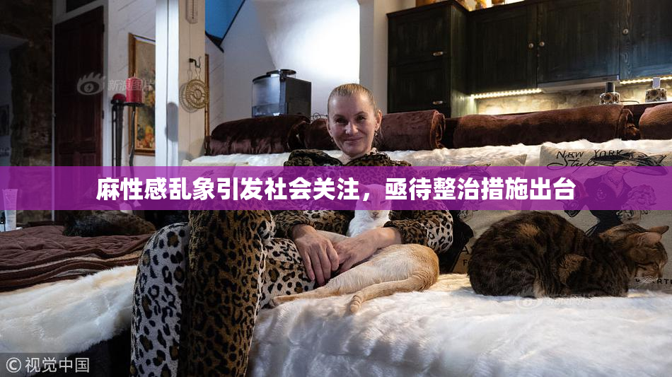麻性感乱象引发社会关注，亟待整治措施出台