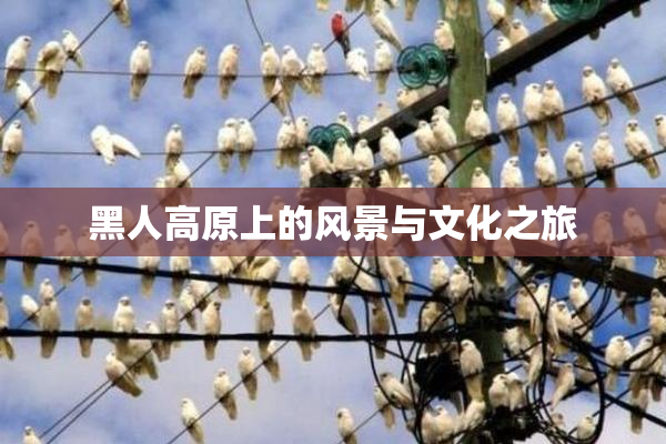 黑人高原上的风景与文化之旅