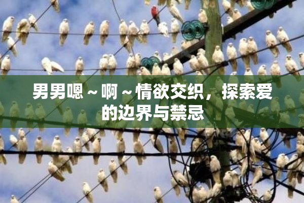 男男嗯～啊～情欲交织，探索爱的边界与禁忌
