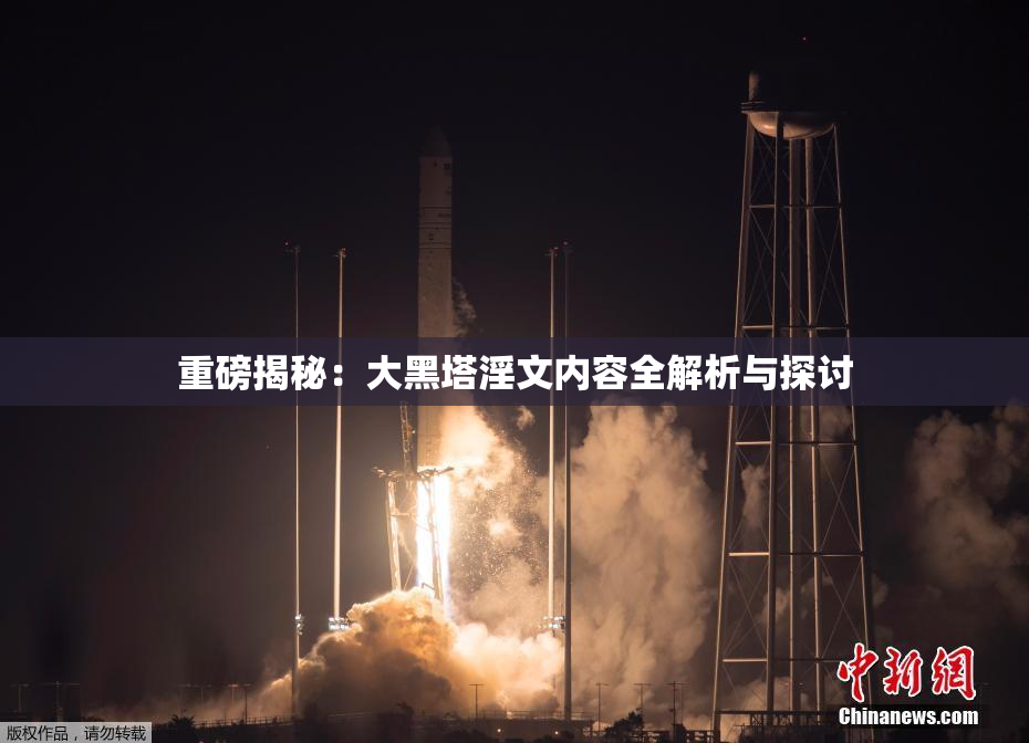 重磅揭秘：大黑塔淫文内容全解析与探讨
