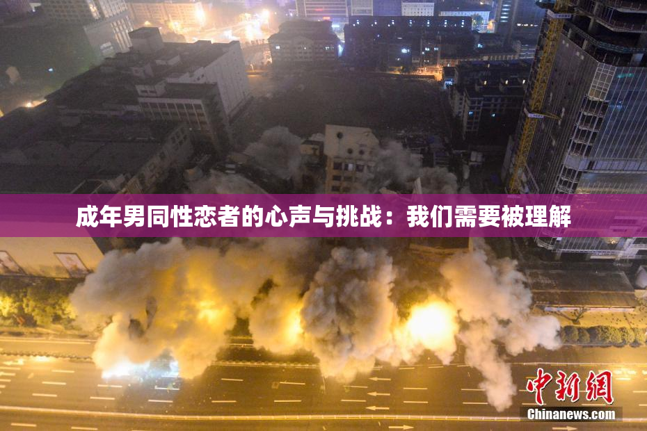 成年男同性恋者的心声与挑战：我们需要被理解