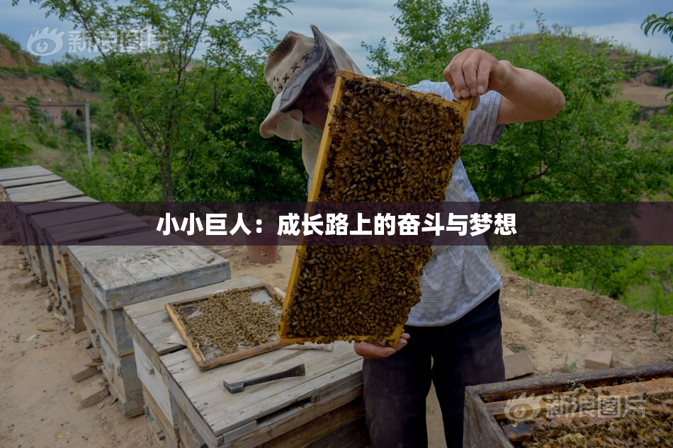 小小巨人：成长路上的奋斗与梦想