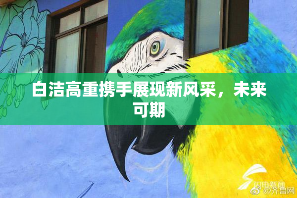 白洁高重携手展现新风采，未来可期