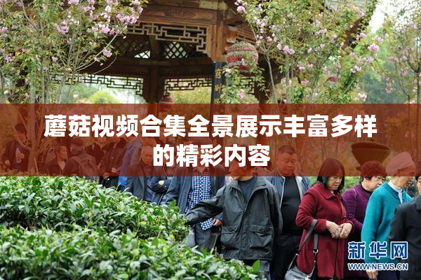 蘑菇视频合集全景展示丰富多样的精彩内容