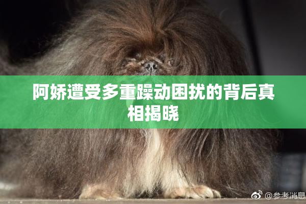 阿娇遭受多重躁动困扰的背后真相揭晓