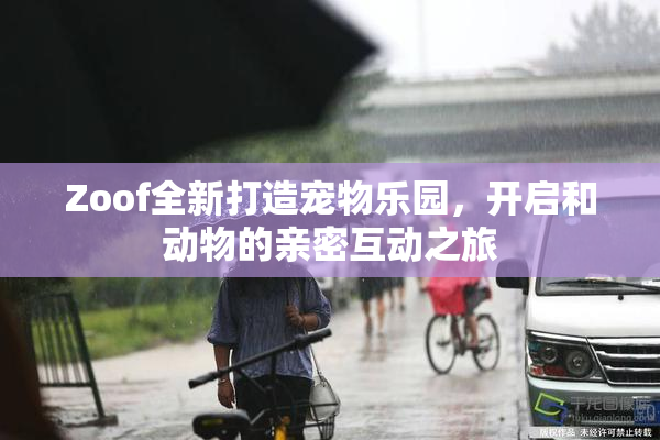 Zoof全新打造宠物乐园，开启和动物的亲密互动之旅
