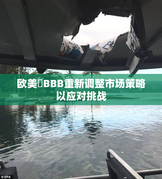 欧美槡BBB重新调整市场策略以应对挑战