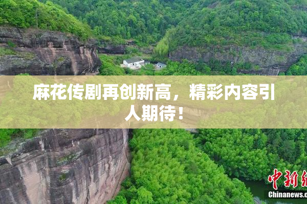 麻花传剧再创新高，精彩内容引人期待！