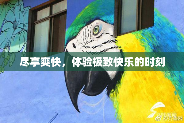 尽享爽快，体验极致快乐的时刻