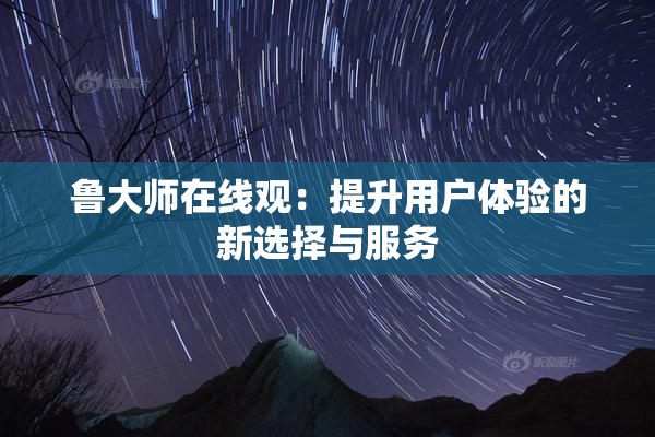 鲁大师在线观：提升用户体验的新选择与服务