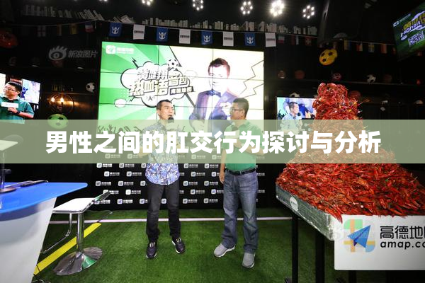 男性之间的肛交行为探讨与分析