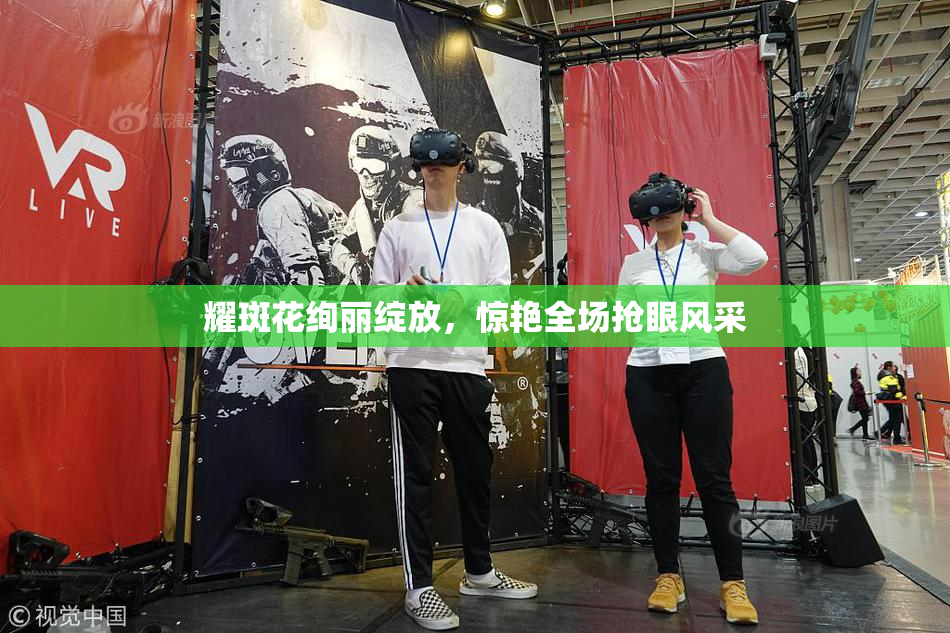 耀斑花绚丽绽放，惊艳全场抢眼风采