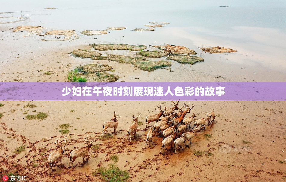 少妇在午夜时刻展现迷人色彩的故事