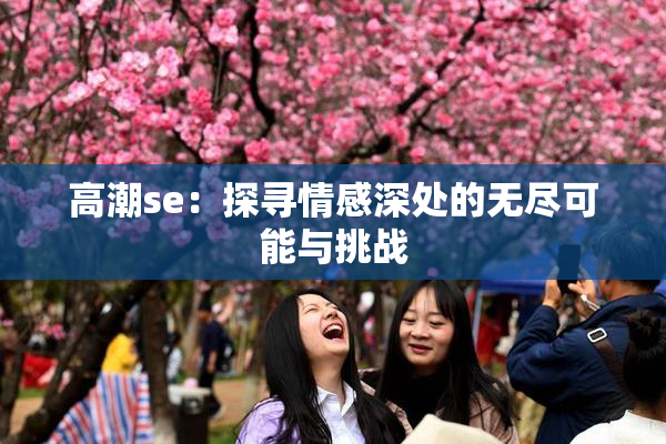高潮se：探寻情感深处的无尽可能与挑战