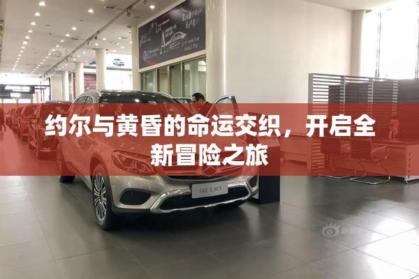 约尔与黄昏的命运交织，开启全新冒险之旅