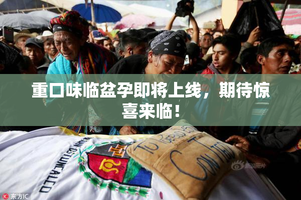 重口味临盆孕即将上线，期待惊喜来临！