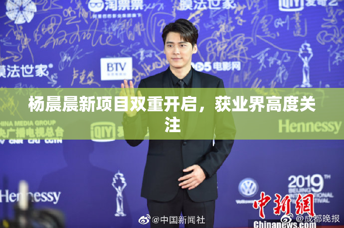 杨晨晨新项目双重开启，获业界高度关注