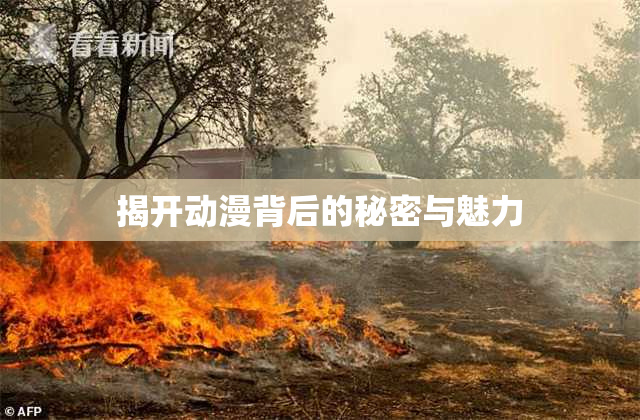 揭开动漫背后的秘密与魅力