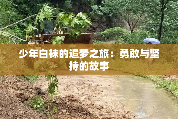 少年白袜的追梦之旅：勇敢与坚持的故事