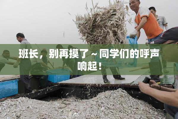 班长，别再摸了～同学们的呼声响起！