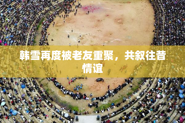 韩雪再度被老友重聚，共叙往昔情谊