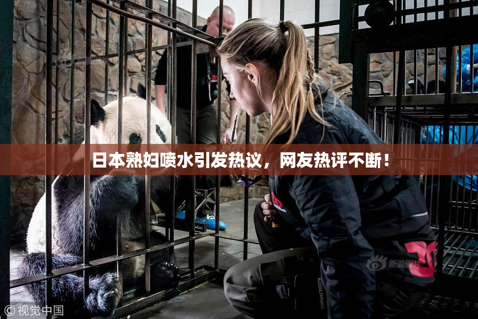 日本熟妇喷水引发热议，网友热评不断！