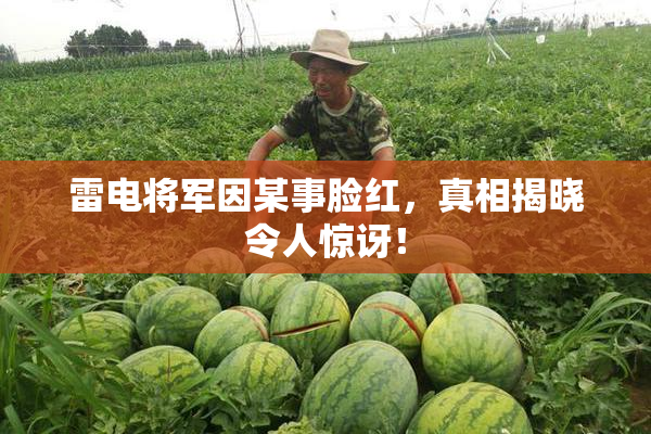 雷电将军因某事脸红，真相揭晓令人惊讶！