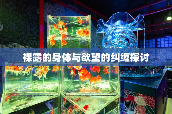 裸露的身体与欲望的纠缠探讨