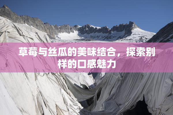 草莓与丝瓜的美味结合，探索别样的口感魅力