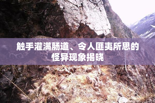 触手灌满肠道、令人匪夷所思的怪异现象揭晓