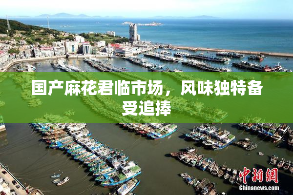 国产麻花君临市场，风味独特备受追捧