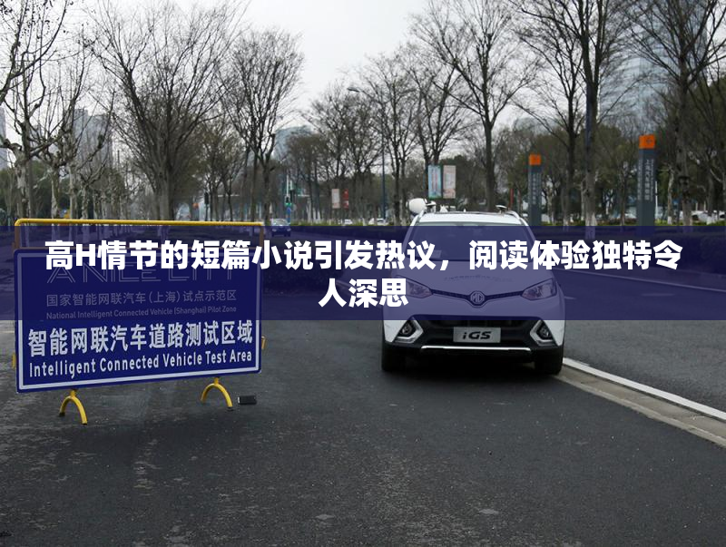 高H情节的短篇小说引发热议，阅读体验独特令人深思