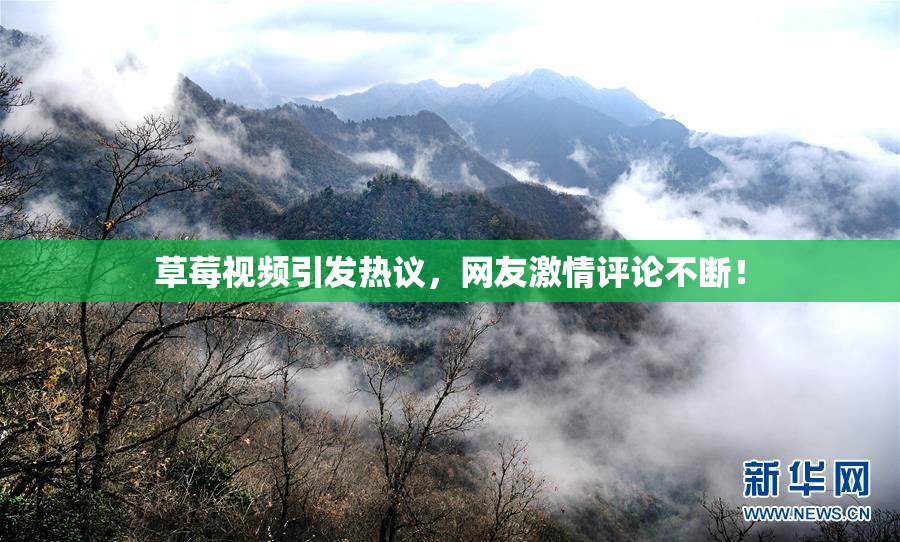 草莓视频引发热议，网友激情评论不断！