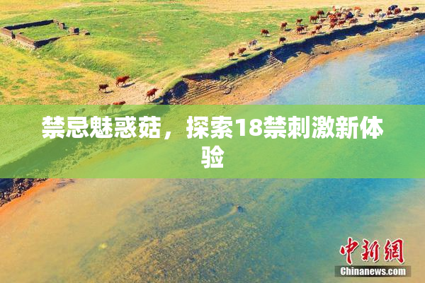 禁忌魅惑菇，探索18禁刺激新体验