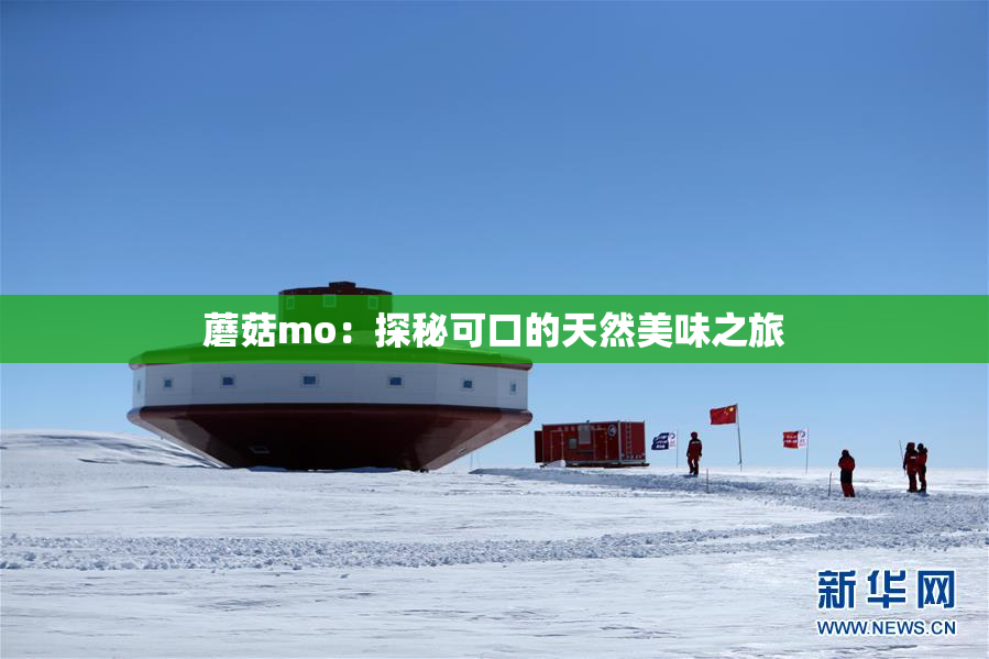 蘑菇mo：探秘可口的天然美味之旅