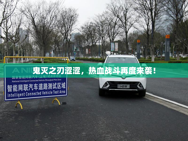鬼灭之刃涩涩，热血战斗再度来袭！
