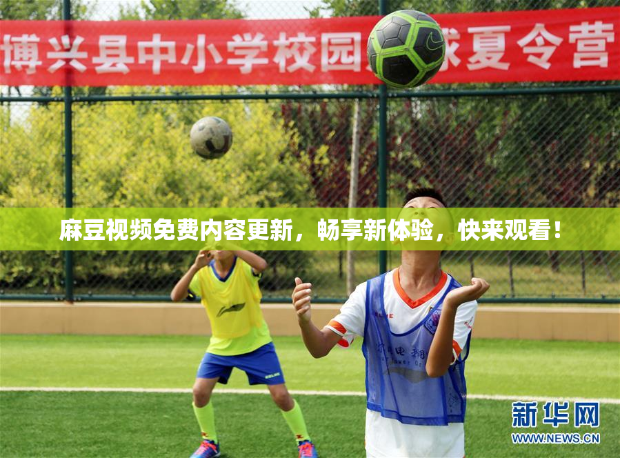 麻豆视频免费内容更新，畅享新体验，快来观看！
