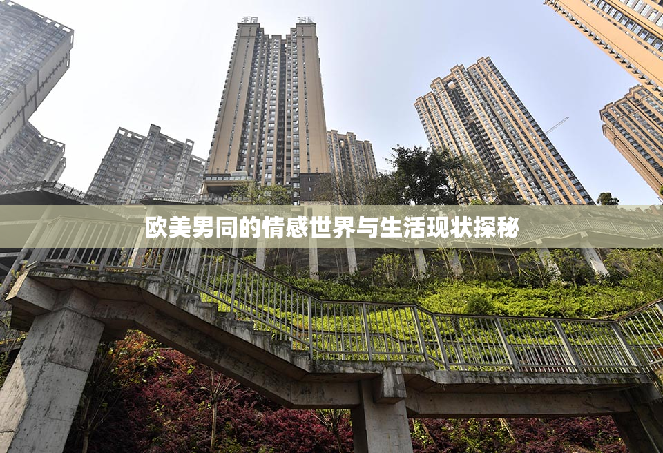欧美男同的情感世界与生活现状探秘