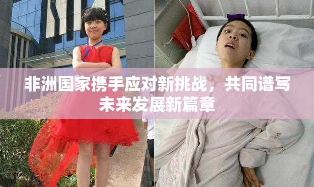 非洲国家携手应对新挑战，共同谱写未来发展新篇章