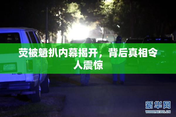 荧被魈扒内幕揭开，背后真相令人震惊