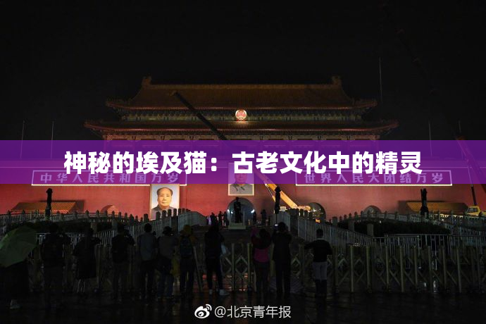 神秘的埃及猫：古老文化中的精灵